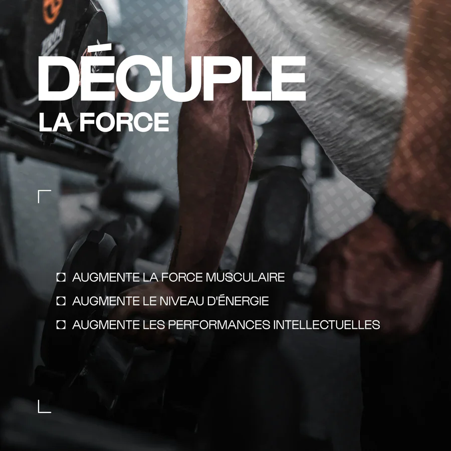 Créatine (Creapure®) en poudre - Nutrimuscle – Image 5