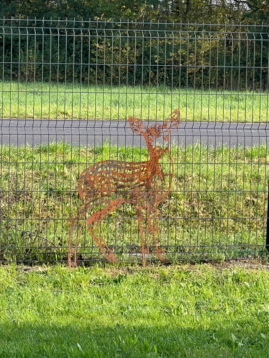 Faon acier corten – Image 2