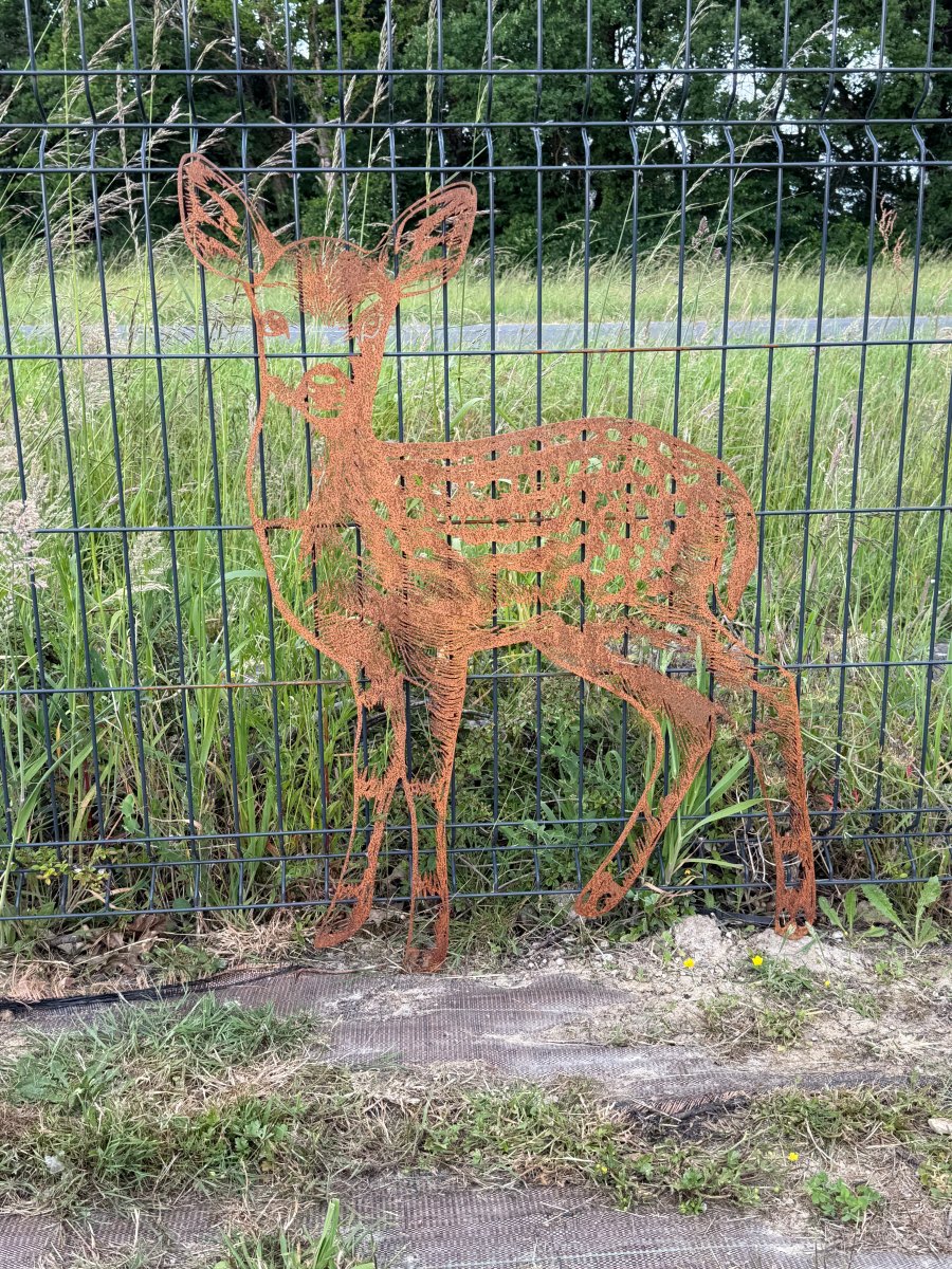 Faon acier corten – Image 4