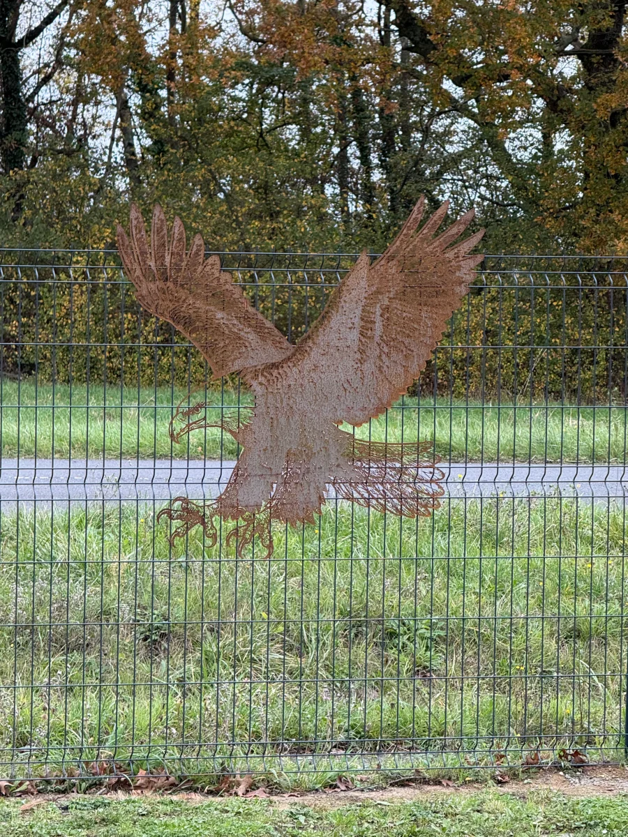 Aigle Royal Acier Corten – Image 4