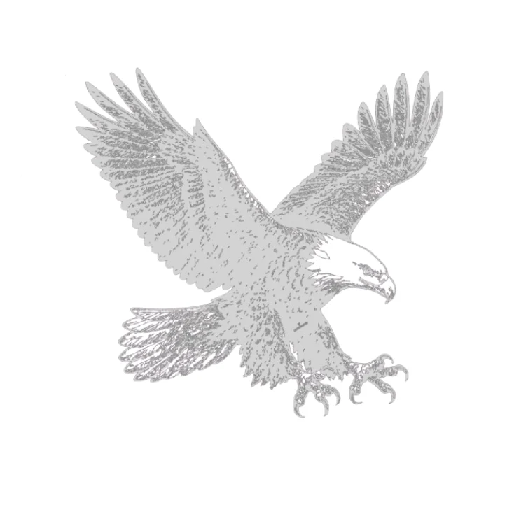 Aigle Royal Acier Corten – Image 2